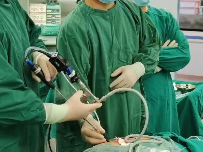 微信图片_20250206101703.jpg 微信图片_20250206101703.jpg